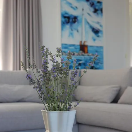 别墅 Brac 斯普利特卡