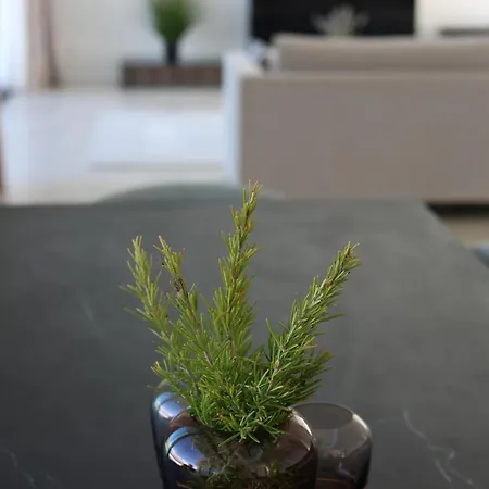 别墅 Brac 斯普利特卡